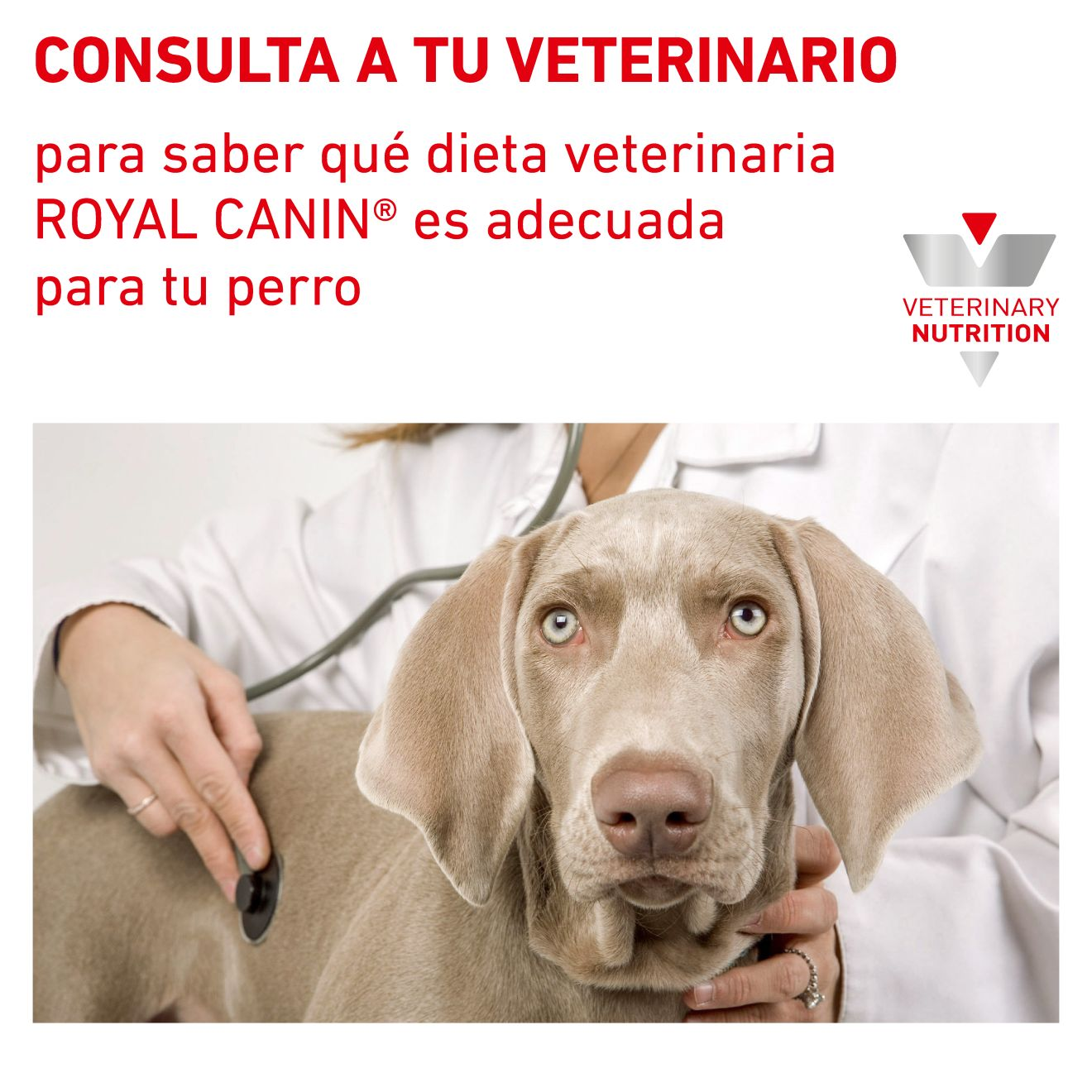 Satiety Weight Management | Royal Canin ES