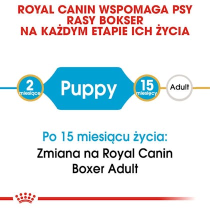 RC-BHN-PuppyBoxer-CM-EretailKit-1-pl_PL