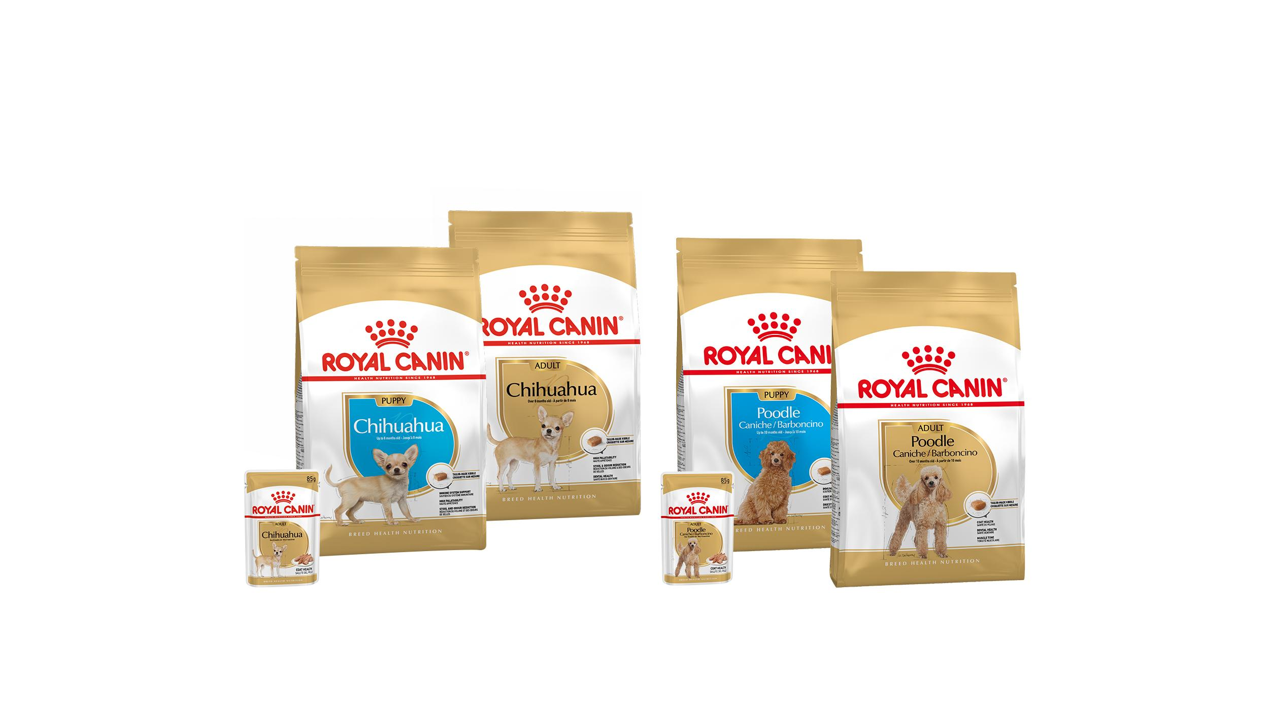 packshot Produit chiot