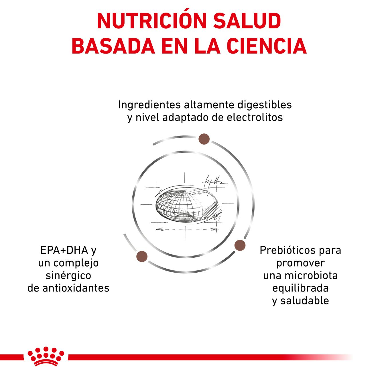 Gastrointestinal Moderate Calorie