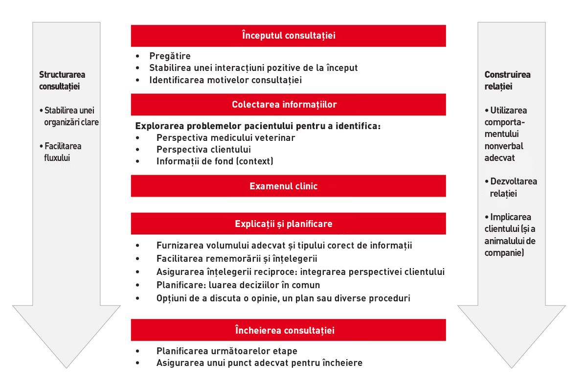 Cadrul de bază al comunicării, cu exemplificarea unor competențe necesare pentru fiecare aspect al consultației (adaptat după ghidul Calgary-Cambridge). 
