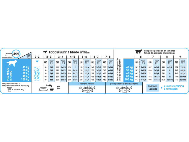 Giant Starter Mother & Babydog