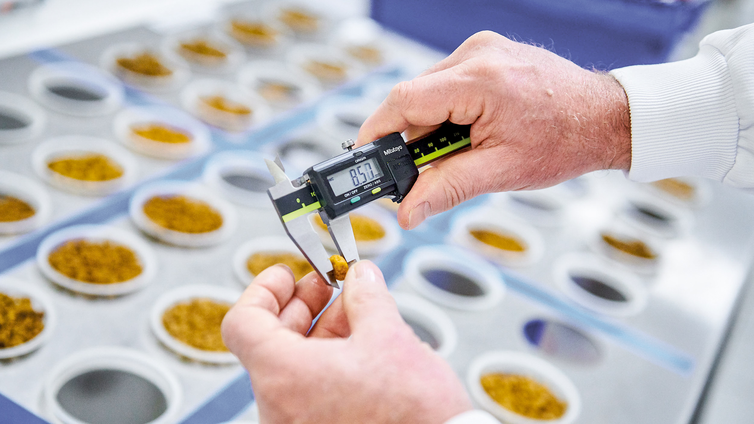 Un homme mesure des croquettes pour vérifier leur consistance