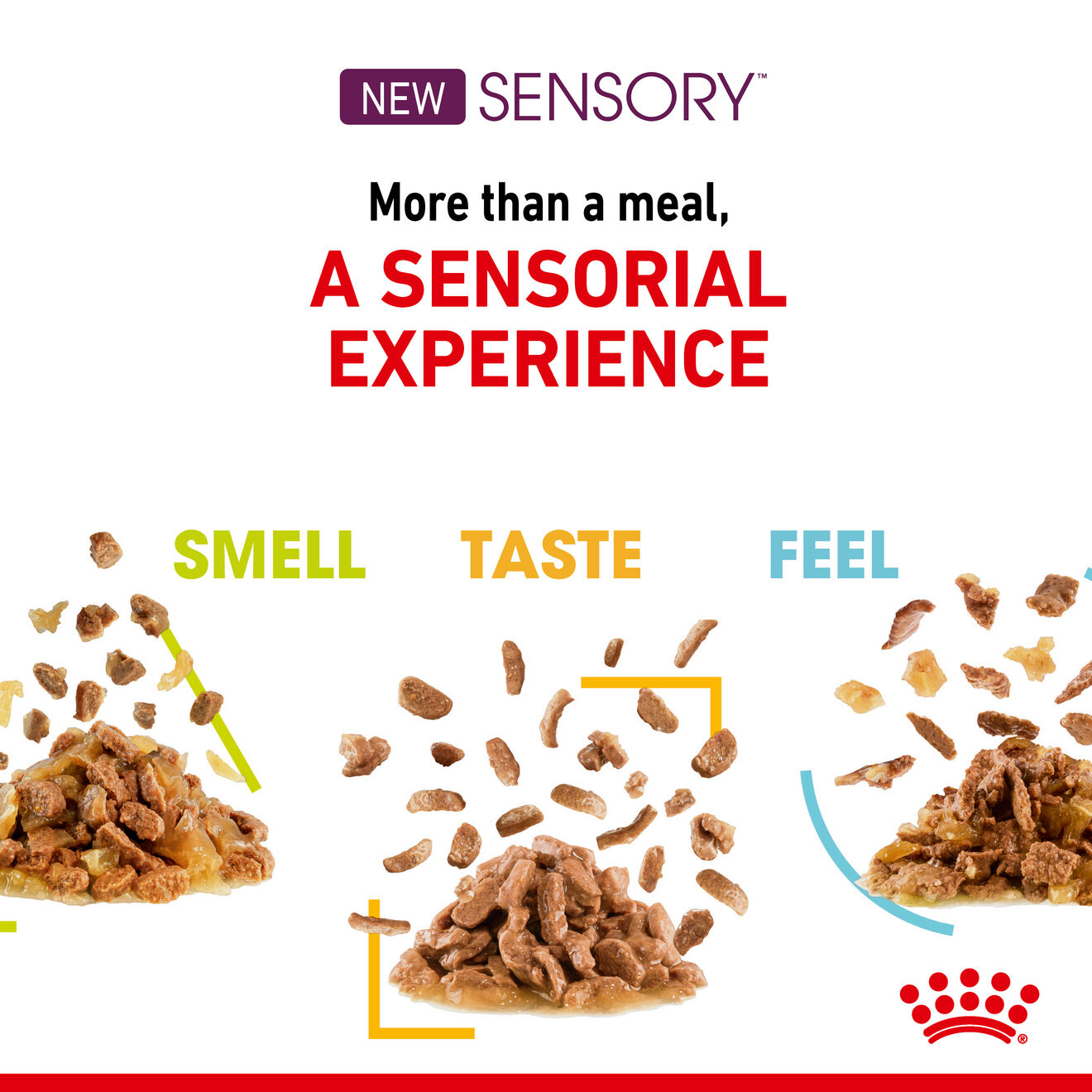 Sensory™ Feel Morsels in gravy