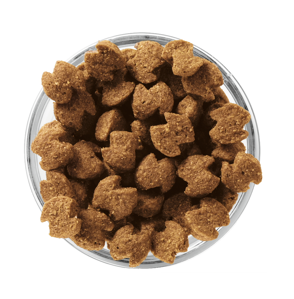 Eukanuba™ SENIOR MEDIUM BREED
