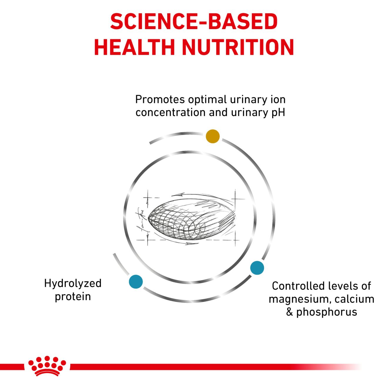 Royal canin urinary so and store hydrolyzed protein