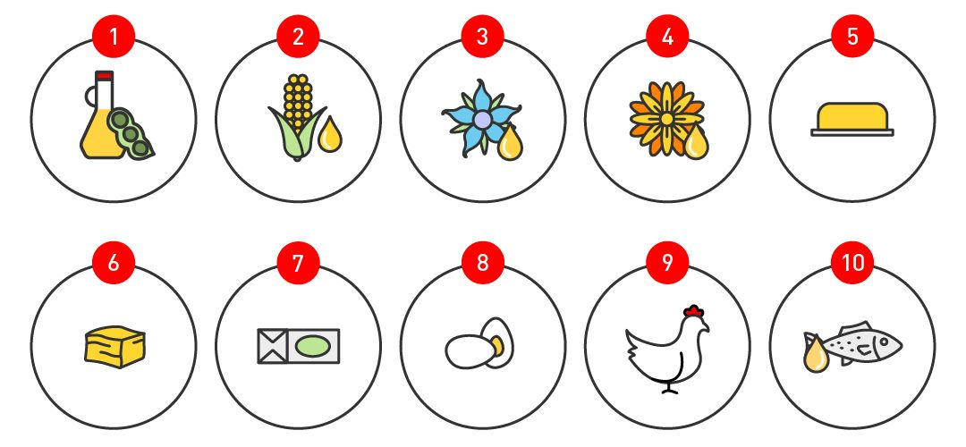 10 illustrations showing the sources of lipids