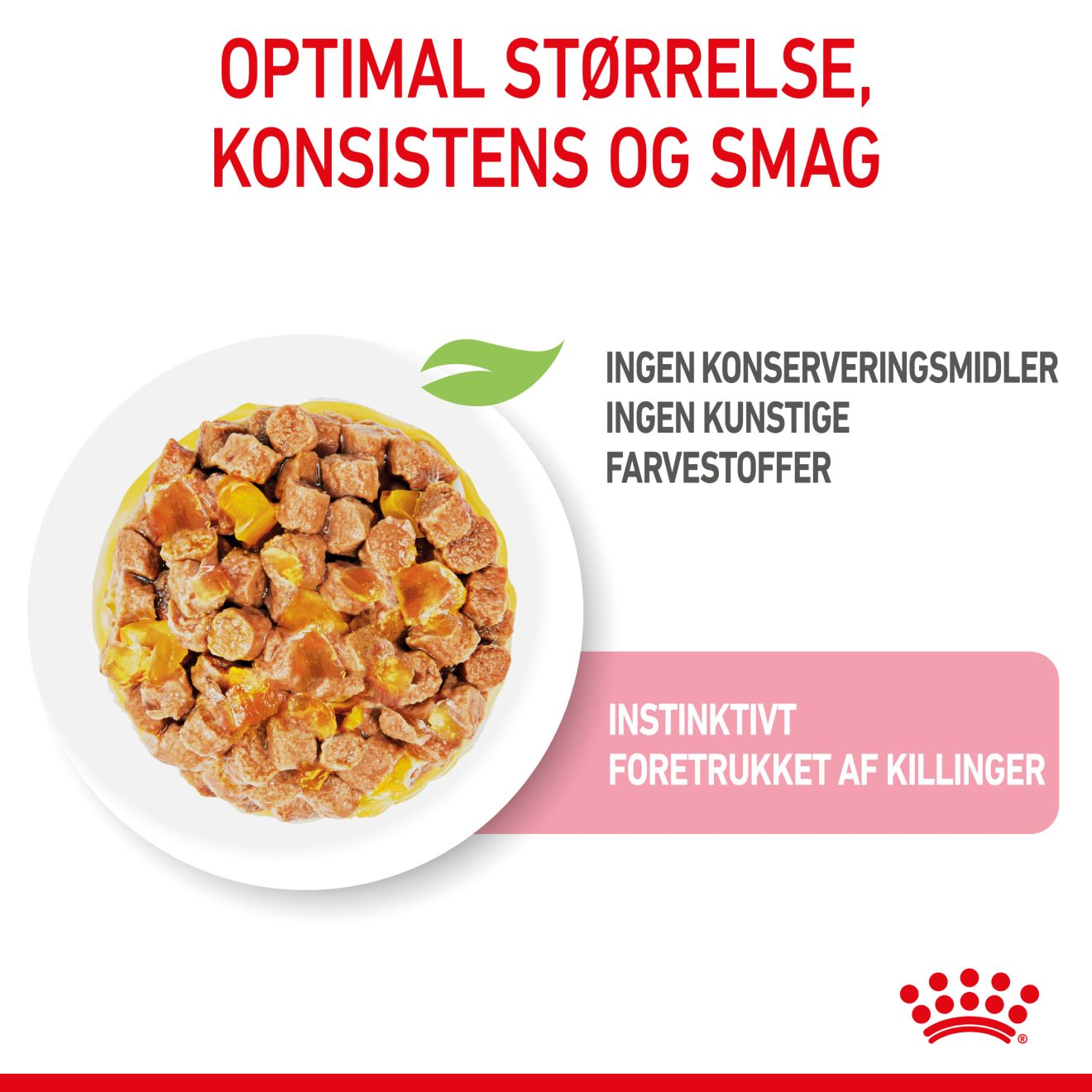 Kitten Sterilised Jelly