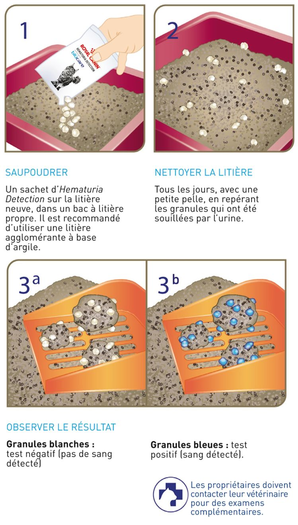 Depistage Precoce De L Hematurie Feline Royal Canin