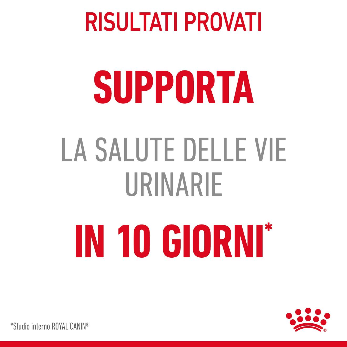 Urinary Care in gelatina