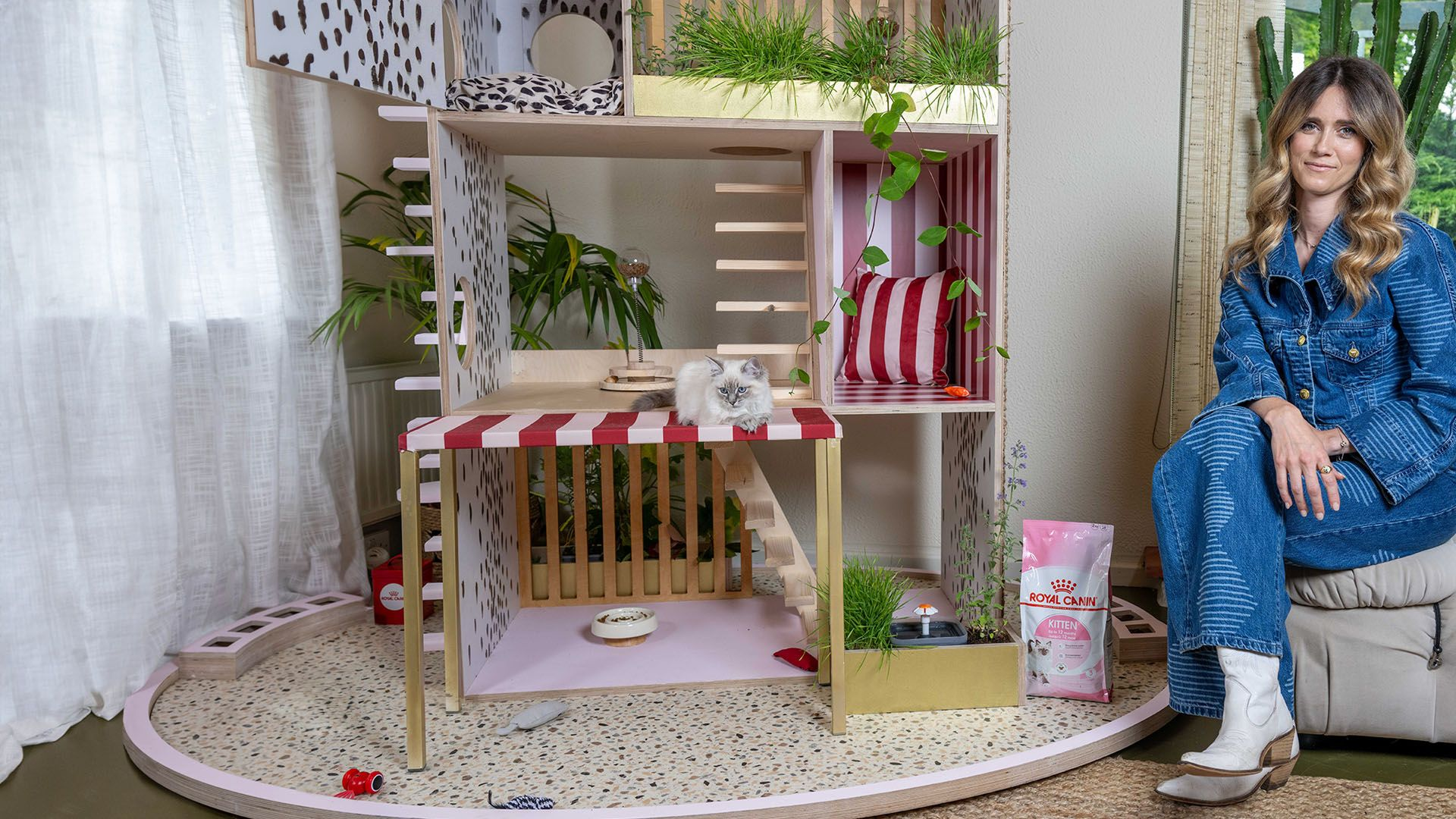 RC-UK_One-in-a-million-kitten_Main Hero