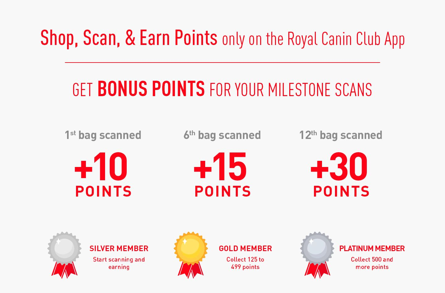 Royal 2024 canin point