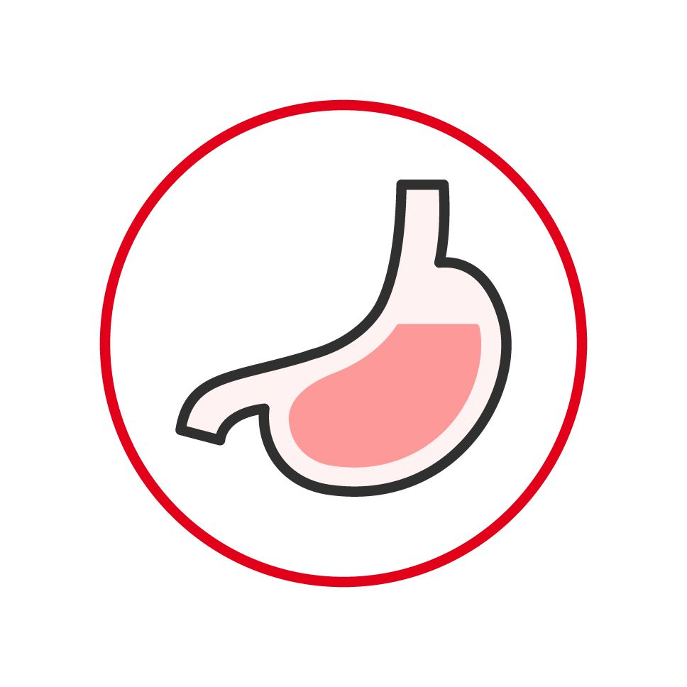 Illustration of a stomach
