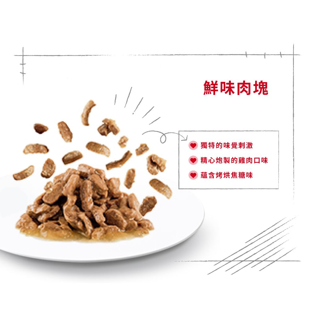 FHN 貓感系列 鮮味營養主食濕糧（肉汁）