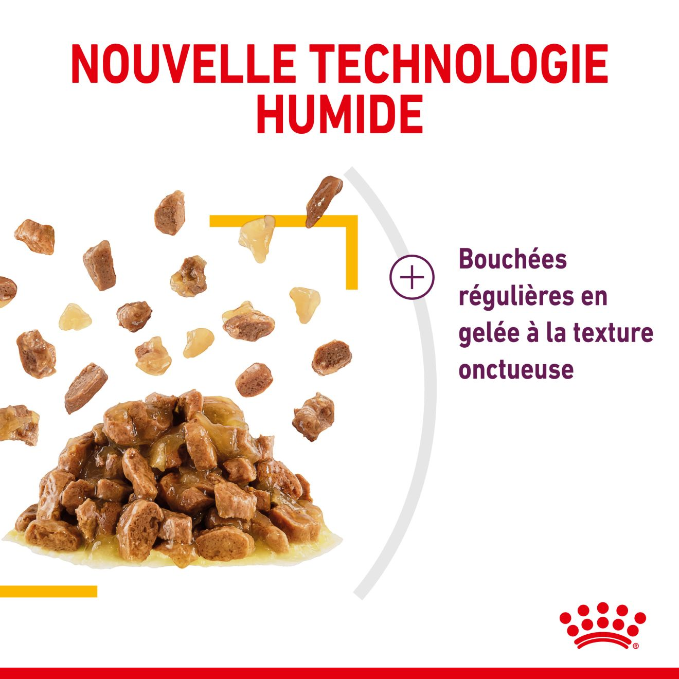 SENSORY™ TASTE en gelée