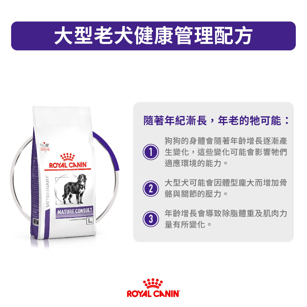 Royal canin mature outlet consult large dog