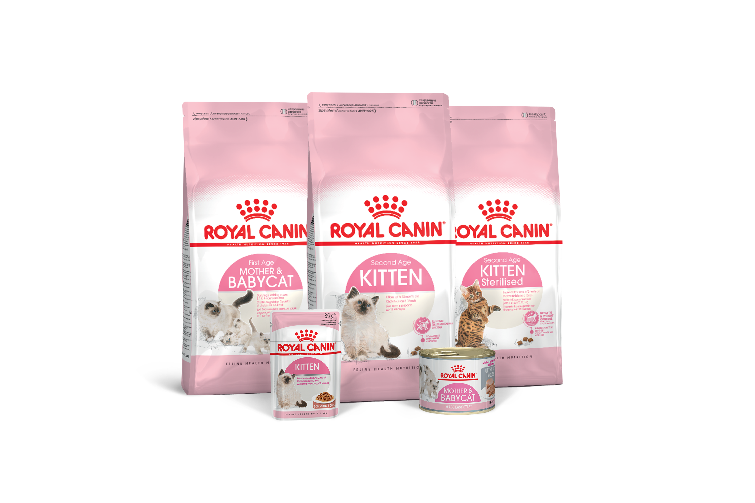 Особенности полового созревания кота | Royal Canin