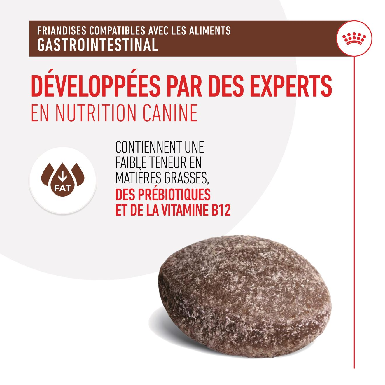 Aliment complémentaire Gastrointestinal Treats pour chien