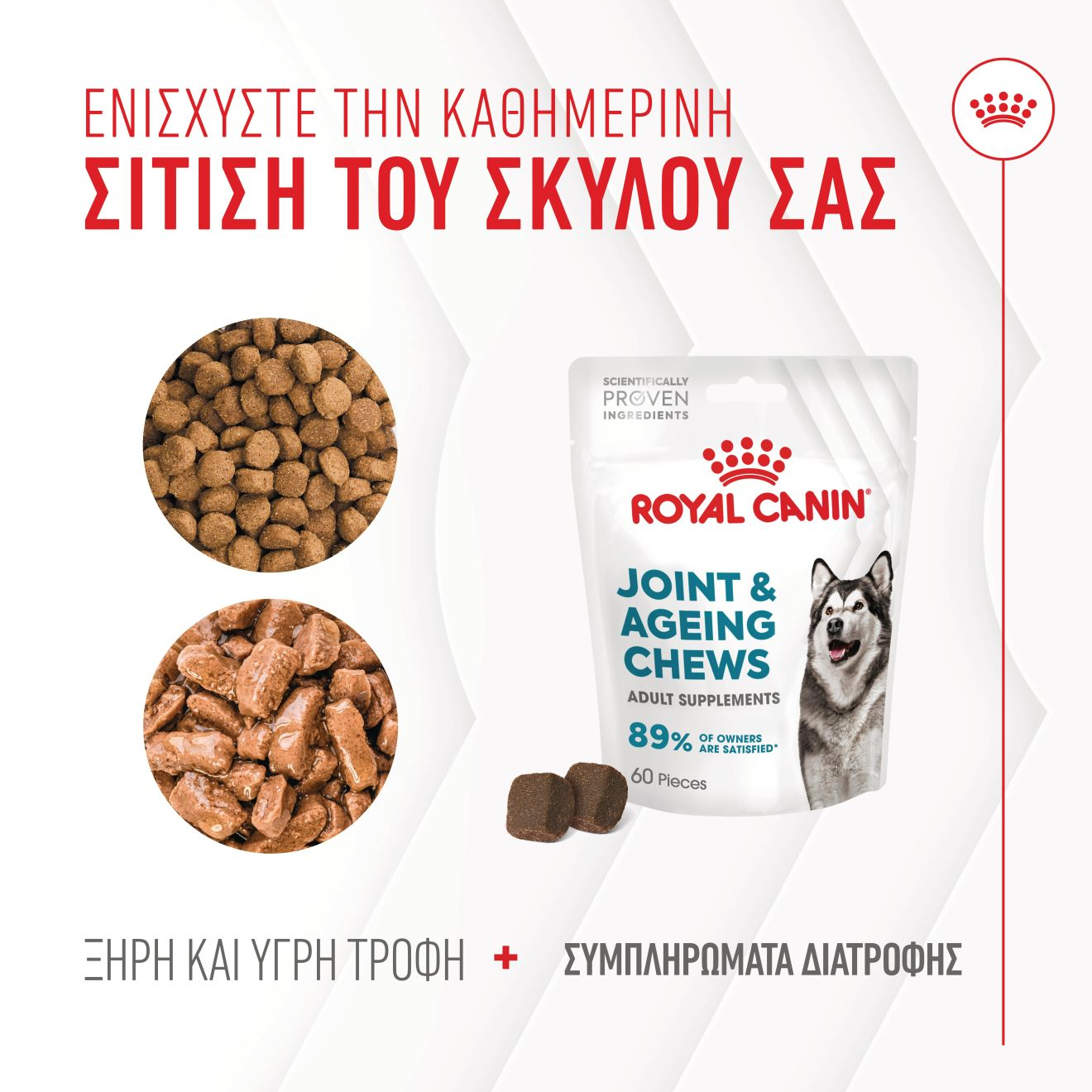 JOINT & AGEING CHEWS
