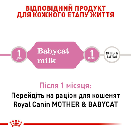 babycatmilk-EretailKit_2.jpg