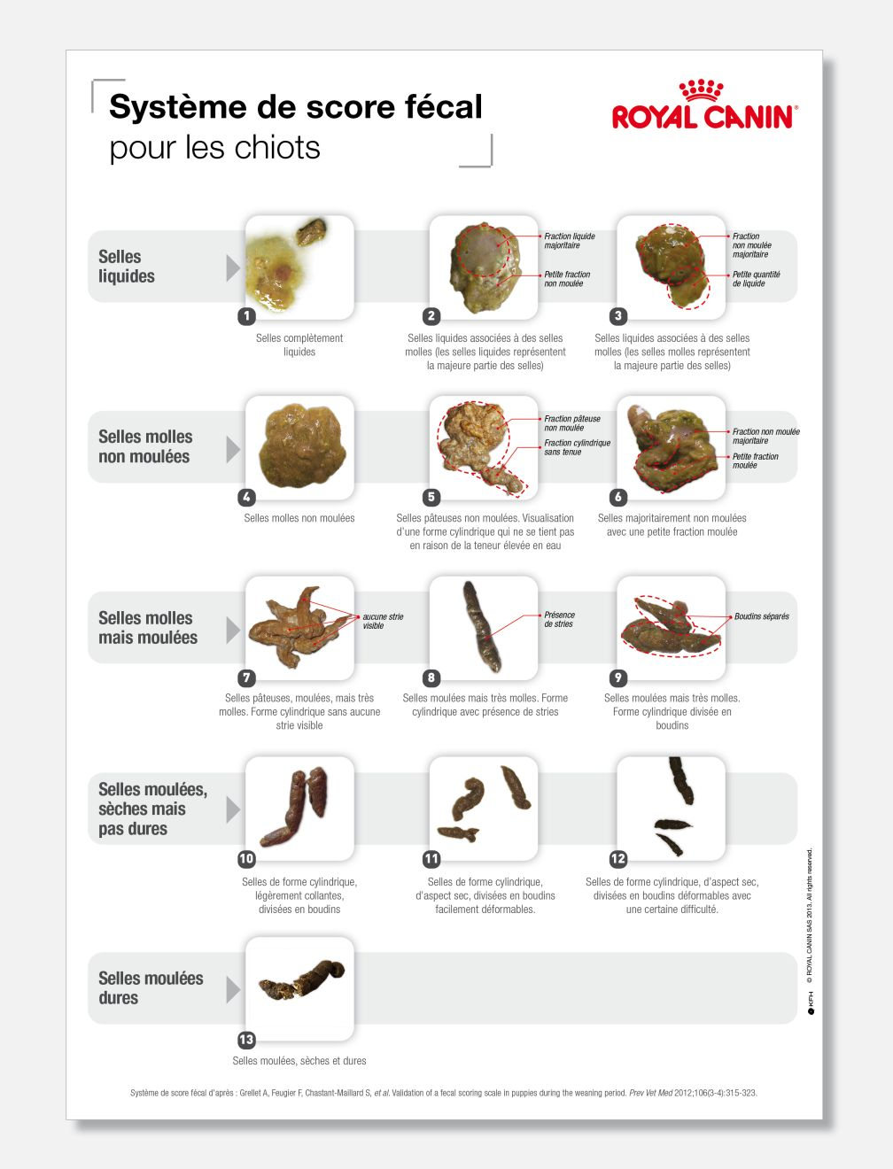 Figure 1: Système de score fécal pour les chiots.