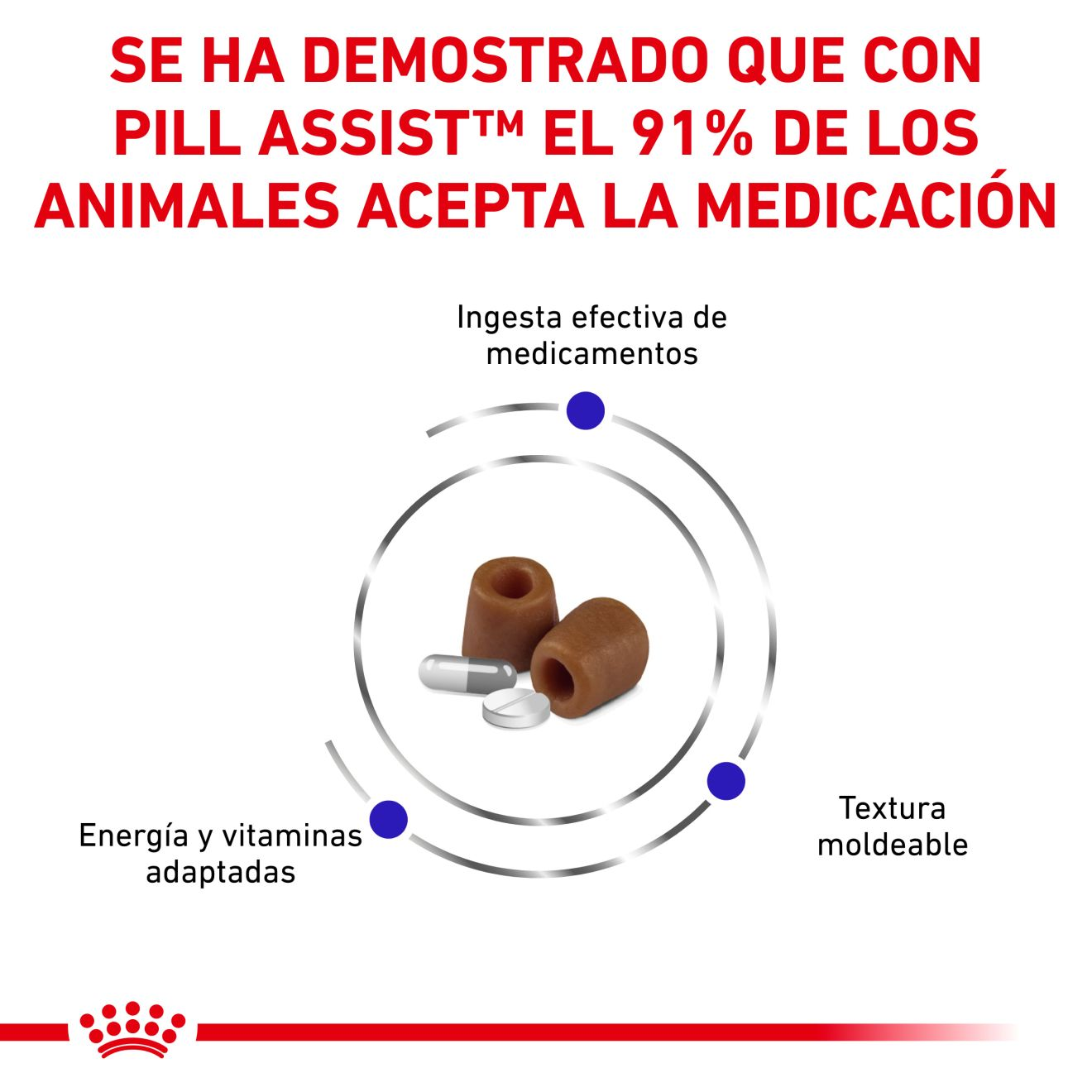 Pill Assist Cat