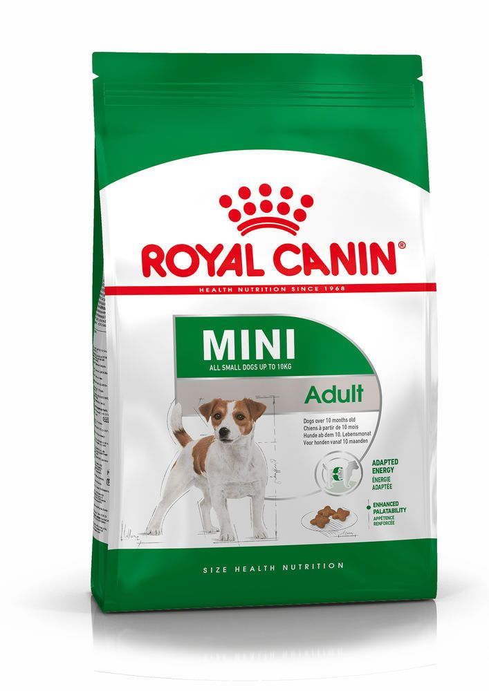 Paquet pour petit chien adulte