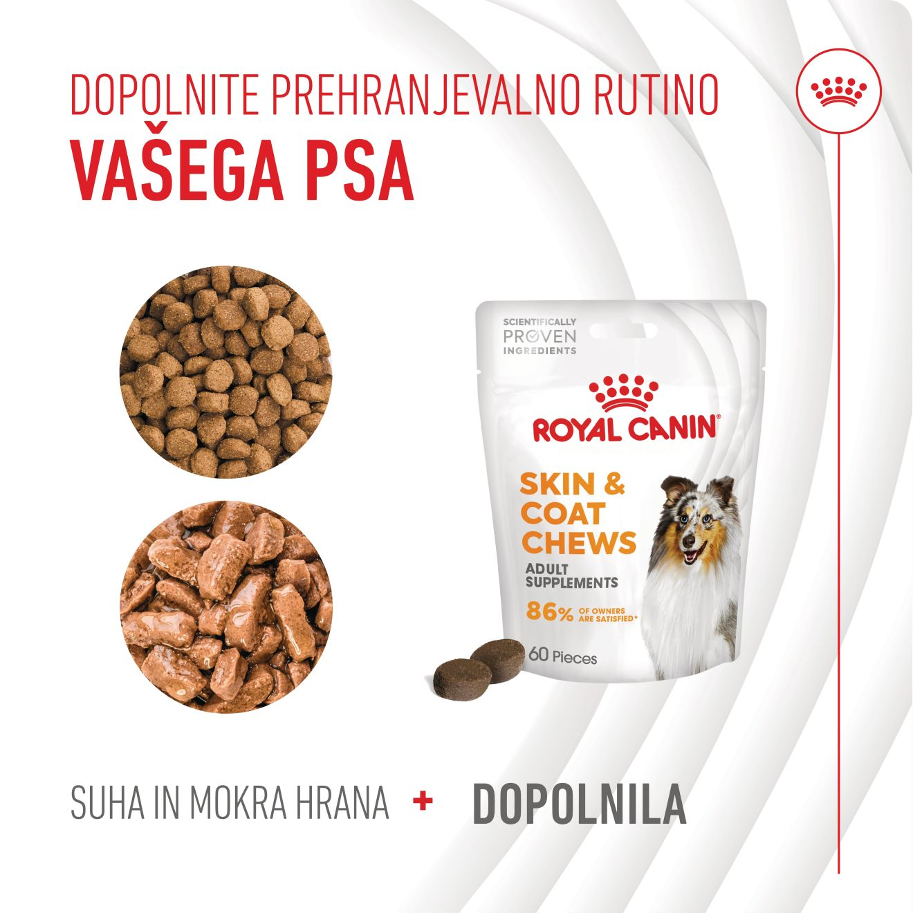 SKIN & COAT CHEWS