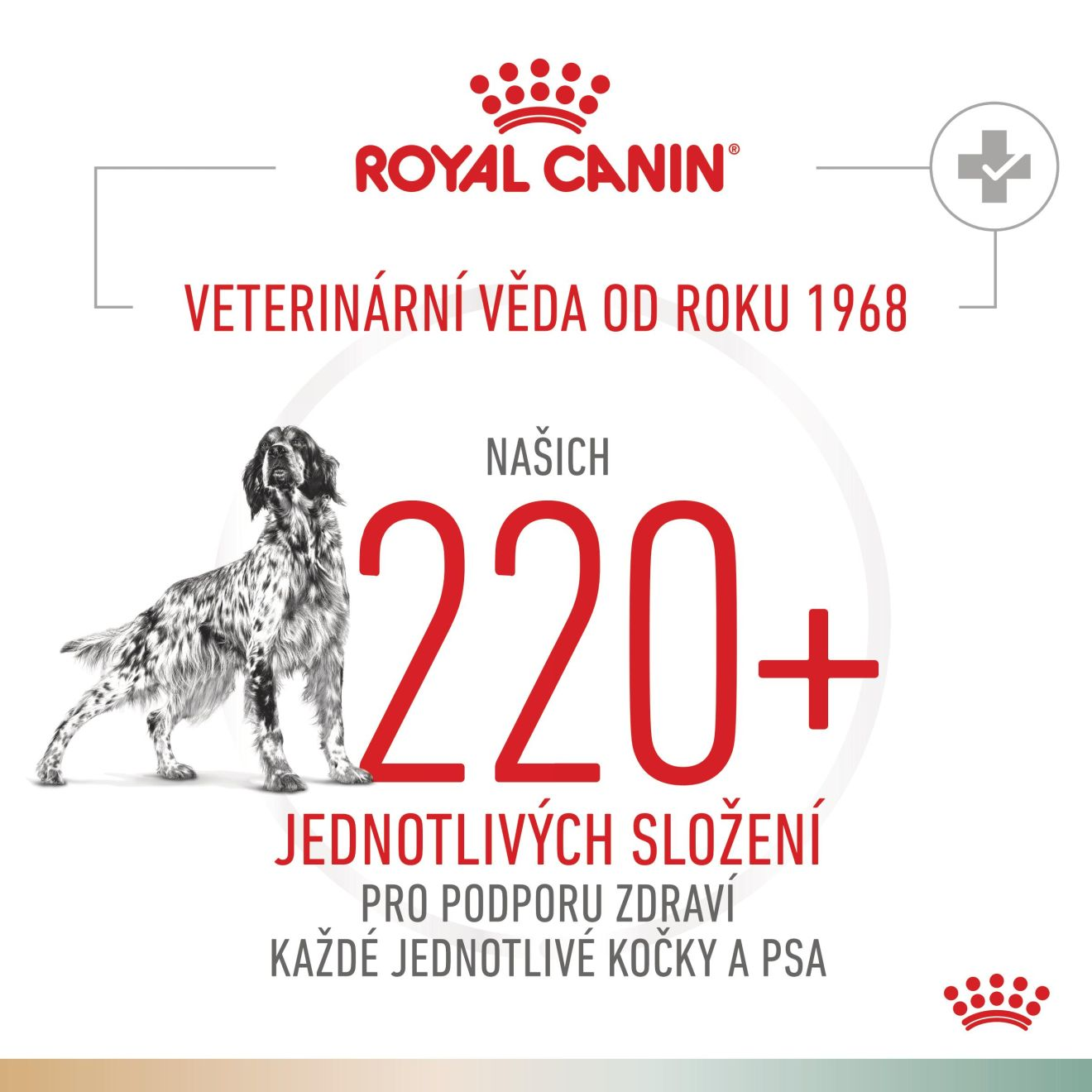 VHN Dog CA Urinary S/O - Satiety Small
