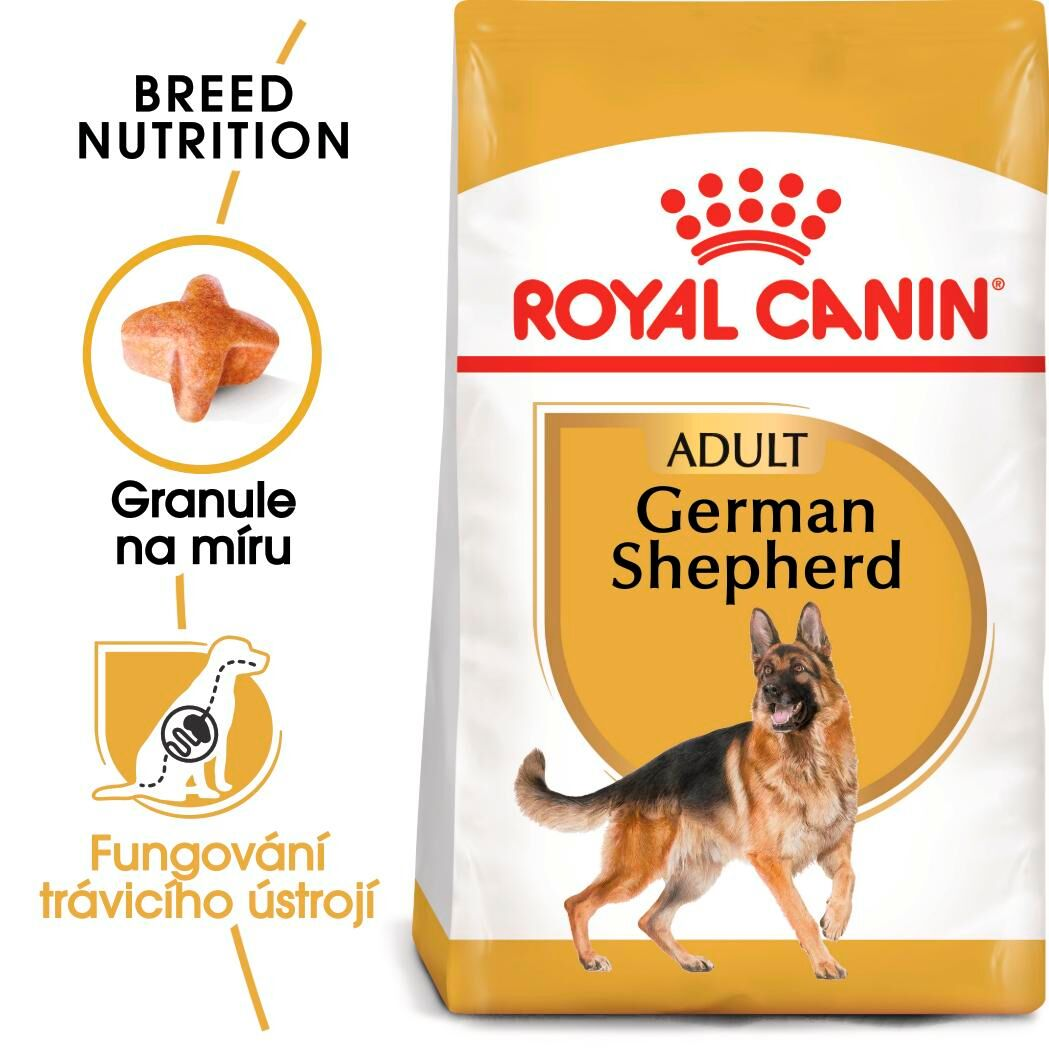 GERMAN SHEPHERD Adult