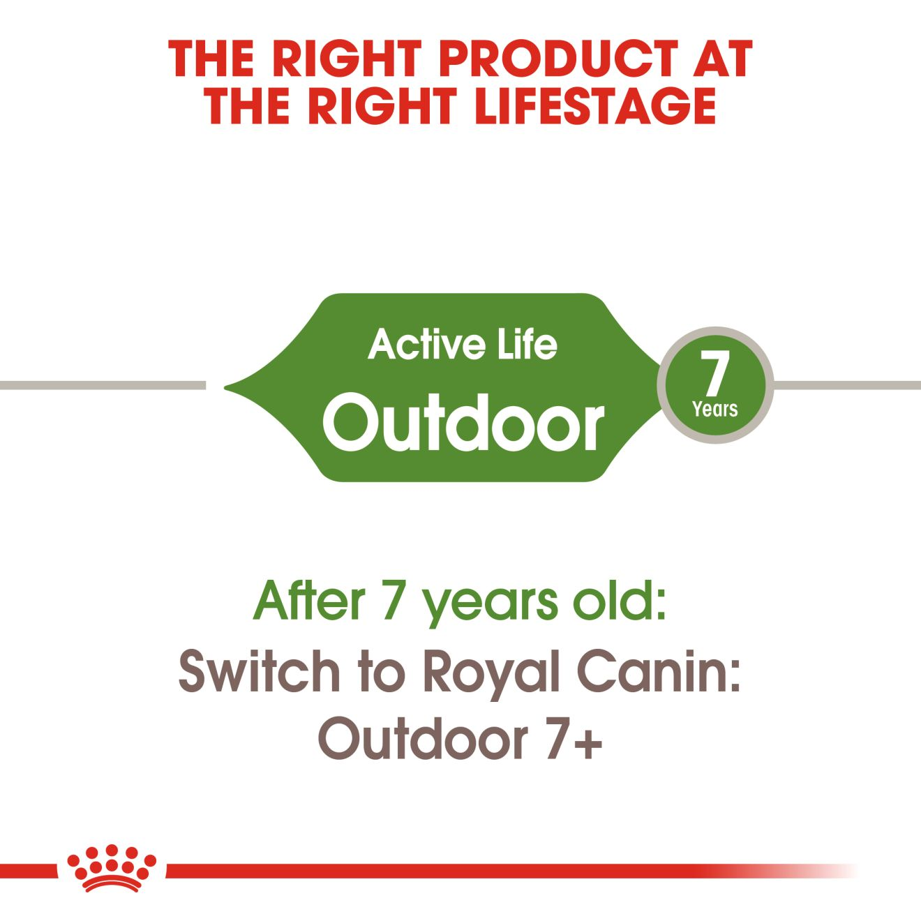 royal canin outdoor