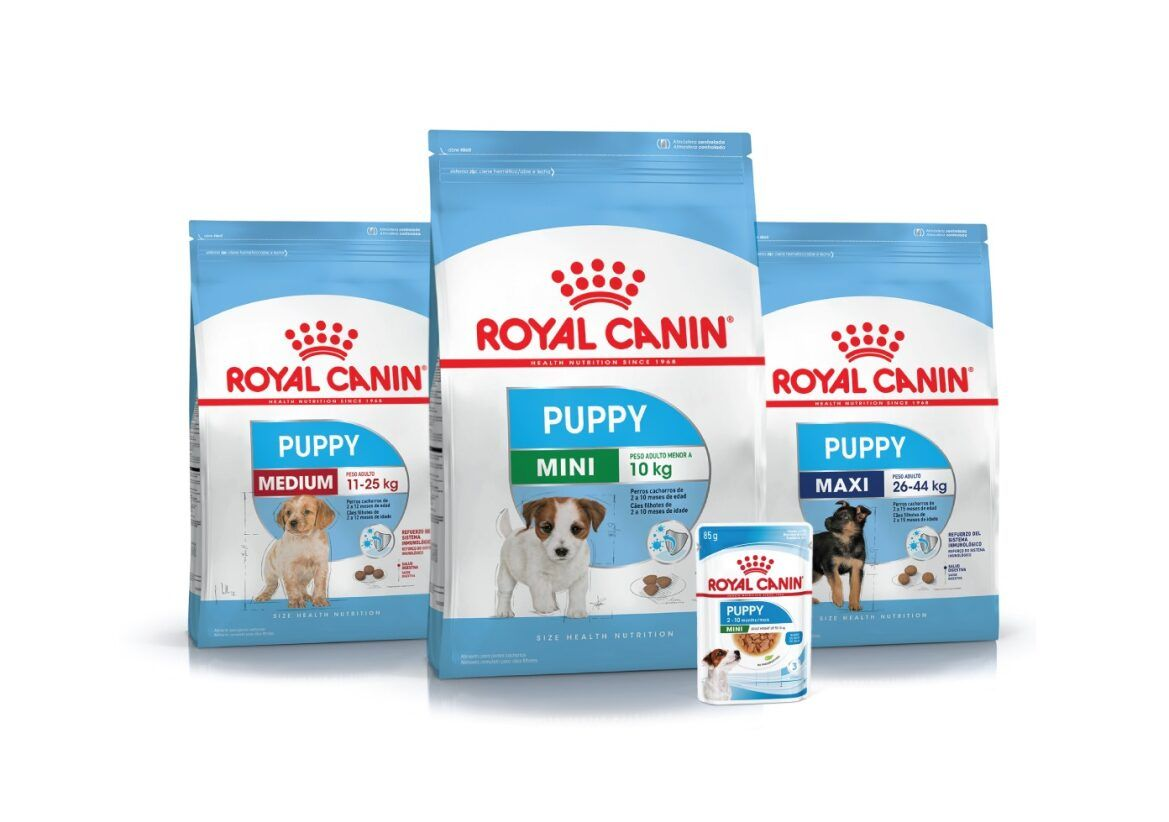 Rango de nuestro Programa de Crecimiento para Cachorros Royal Canin