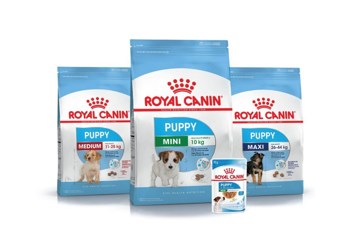 Royal Canin Mini Puppy