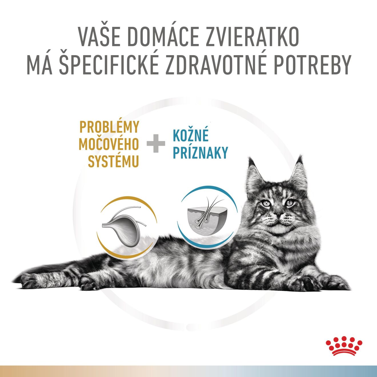 VHN Cat CA Urinary S/O-Hypoallergenic