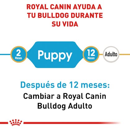 RC-BHN-PuppyBulldog-CM-EretailKit-1