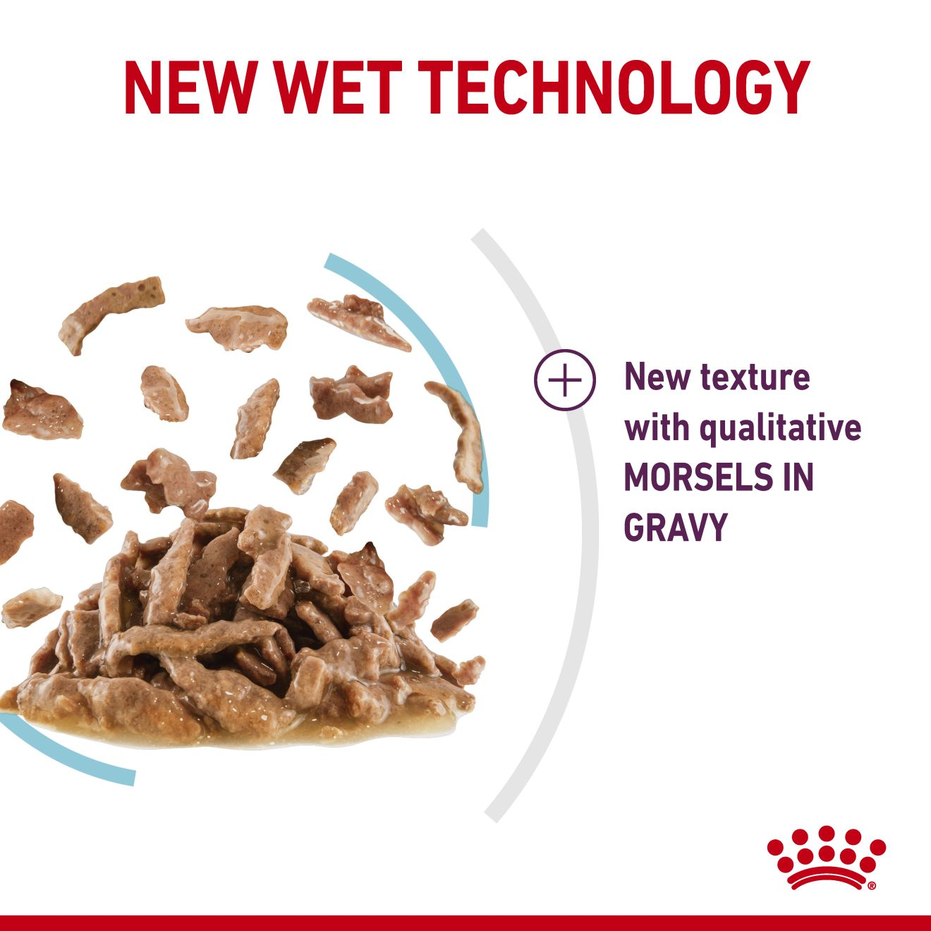 ROYAL CANIN Sensory Feel Nassfutter Für Katzen – Chunks In Sauce, 12x85 G, Für Alle Lebensphasen