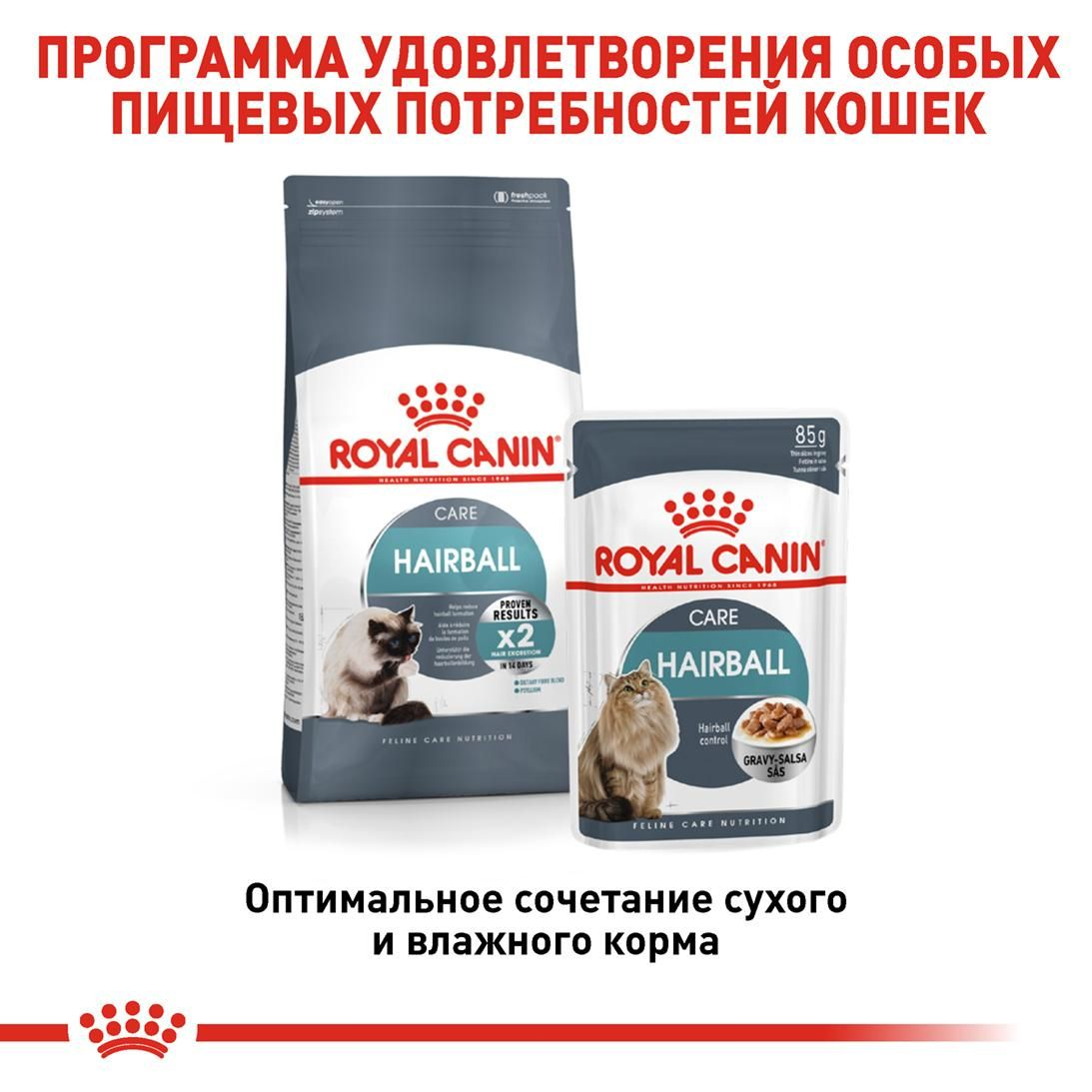 Hairball Care | Royal Canin UA