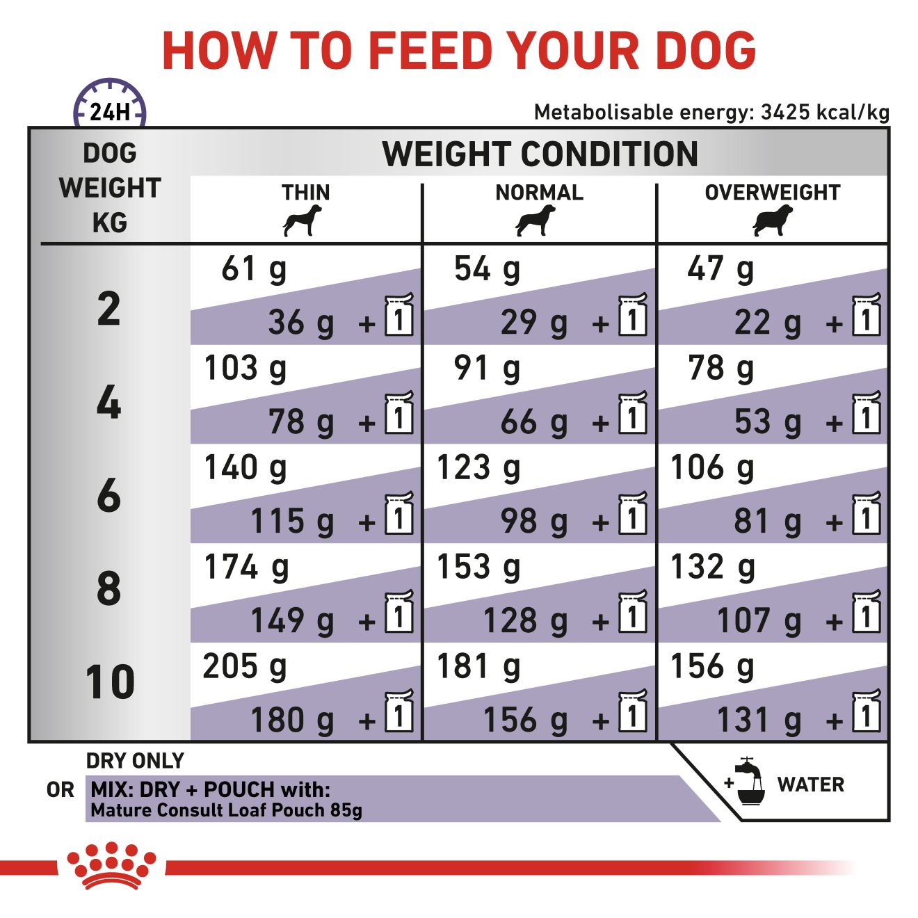 Mature consult small clearance dog