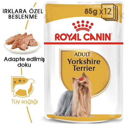 Yorkshire Terrier Yetişkin Köpek Yaş Maması