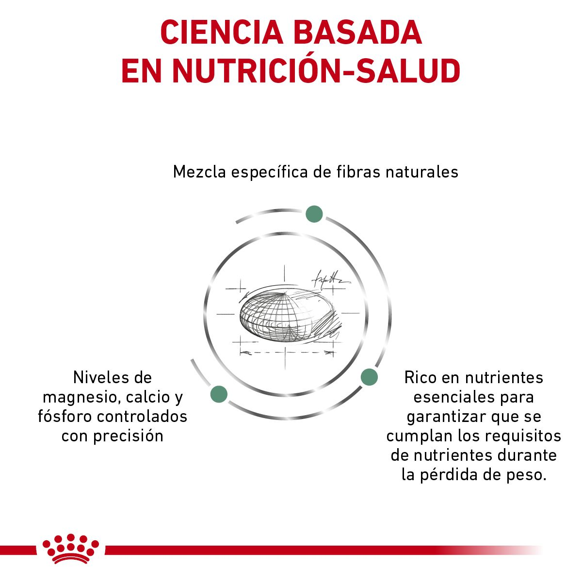 Satiety Weight Management Small Dog