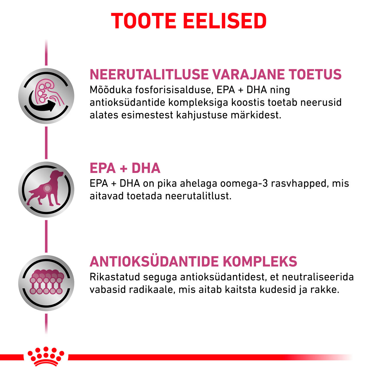 Royal Canin Early Renal Dog kuivtoit