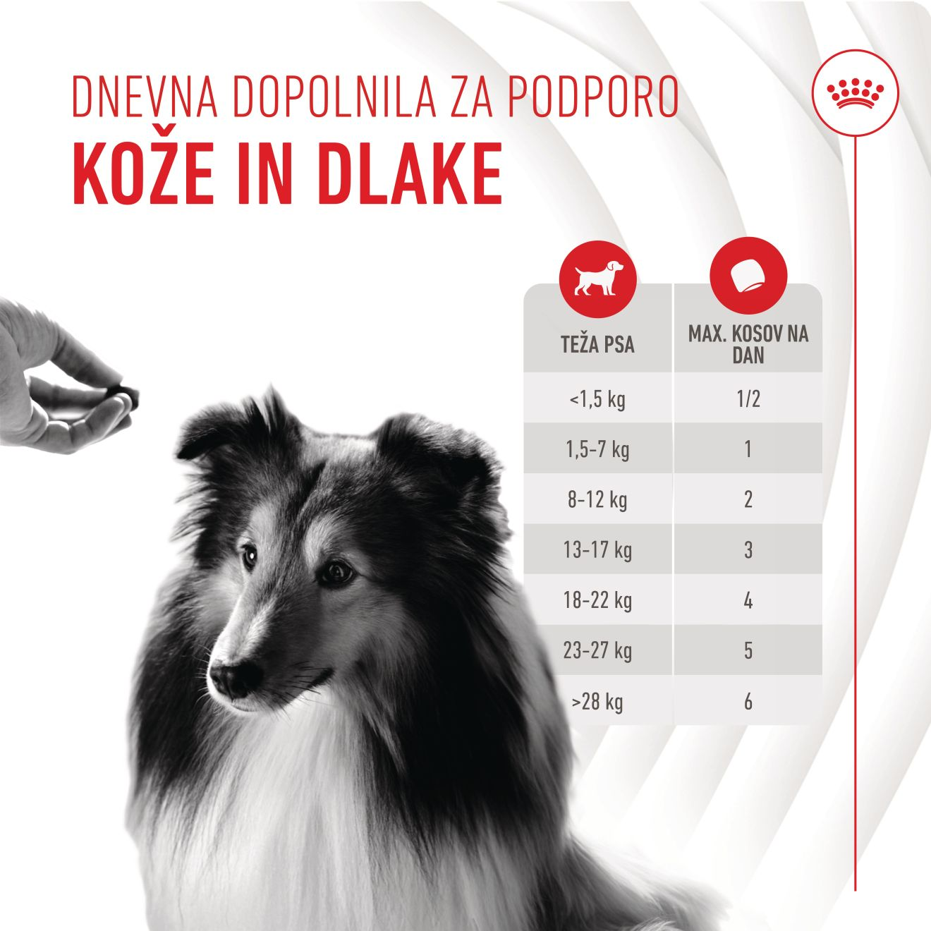SKIN & COAT CHEWS