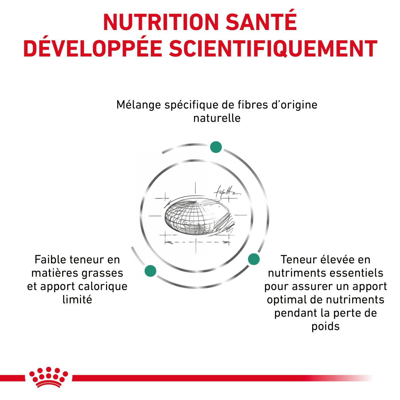 Satiety Weight Management 