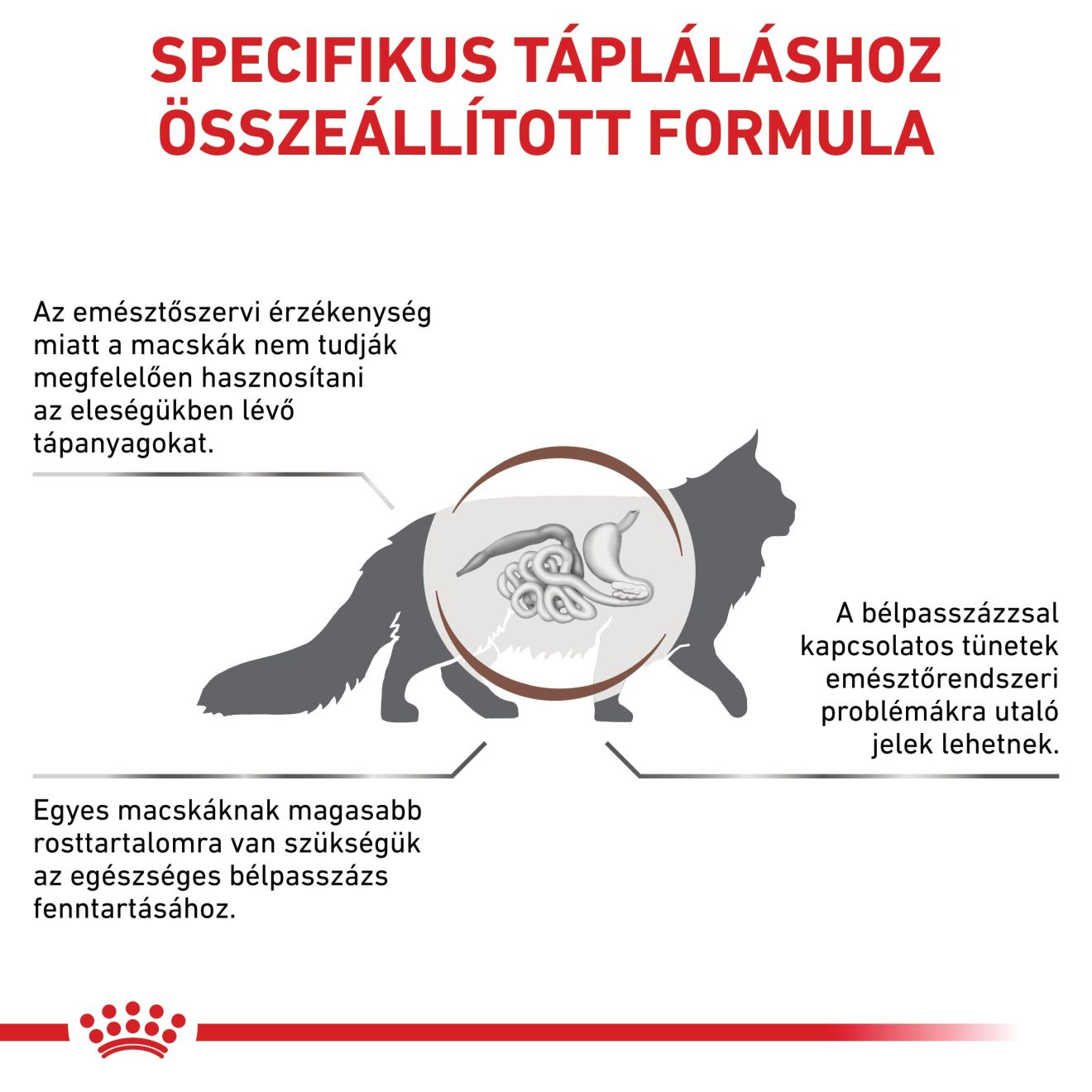 Gastrointestinal Fibre Response