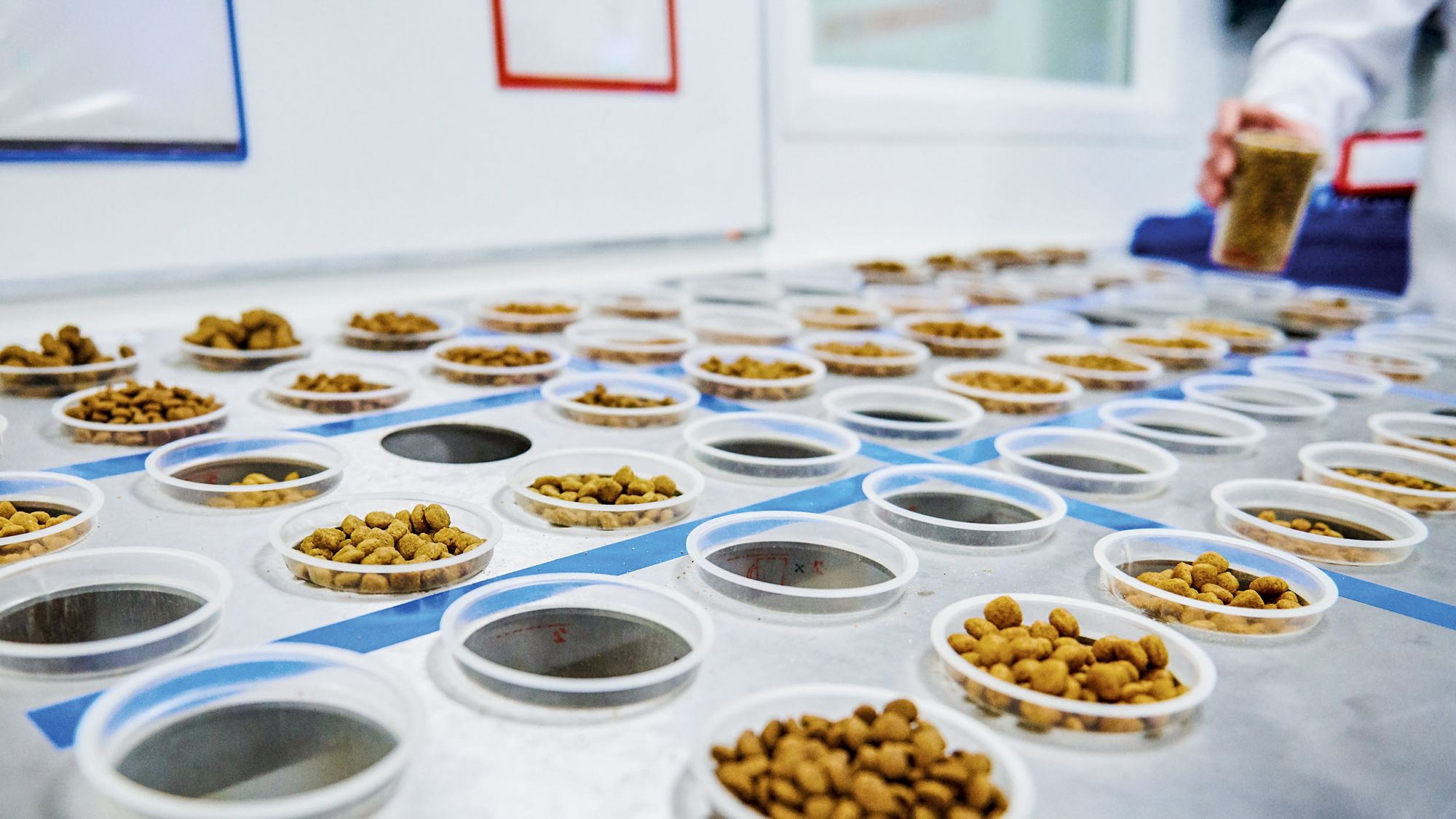 Rows of kibble samples being taken to allow for quality testing