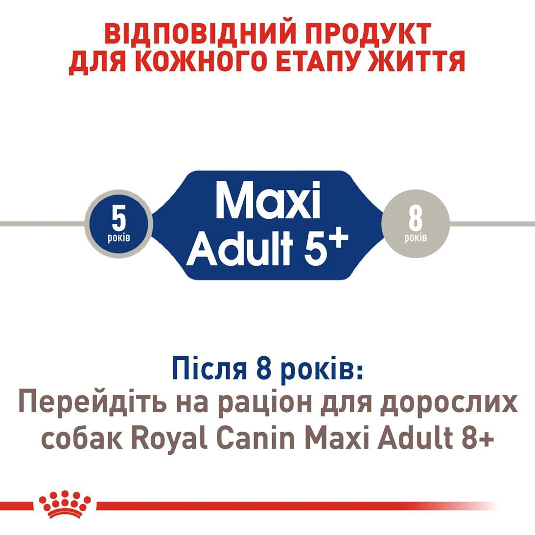 Maxi Adult 5+