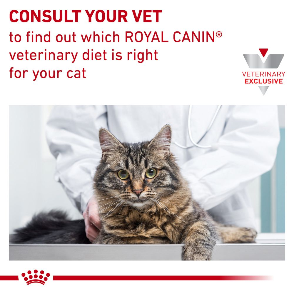 Feline Satiety Support Weight Management