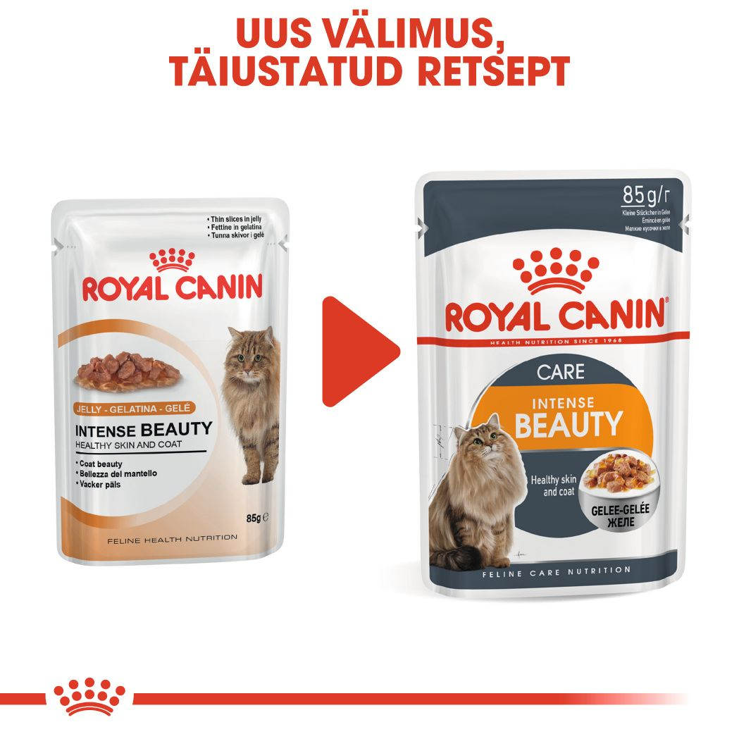 Royal Canin Intense Beauty konserv (õhukesed viilud želees)