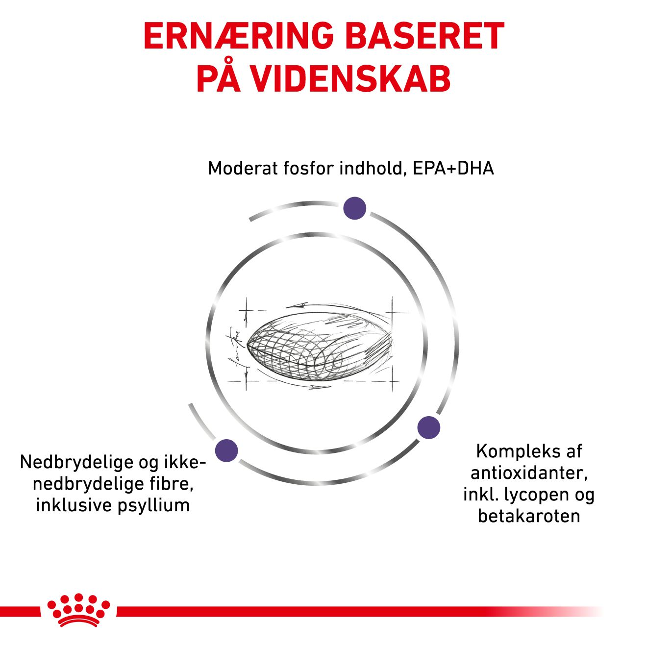 Health Mature Consult Balance