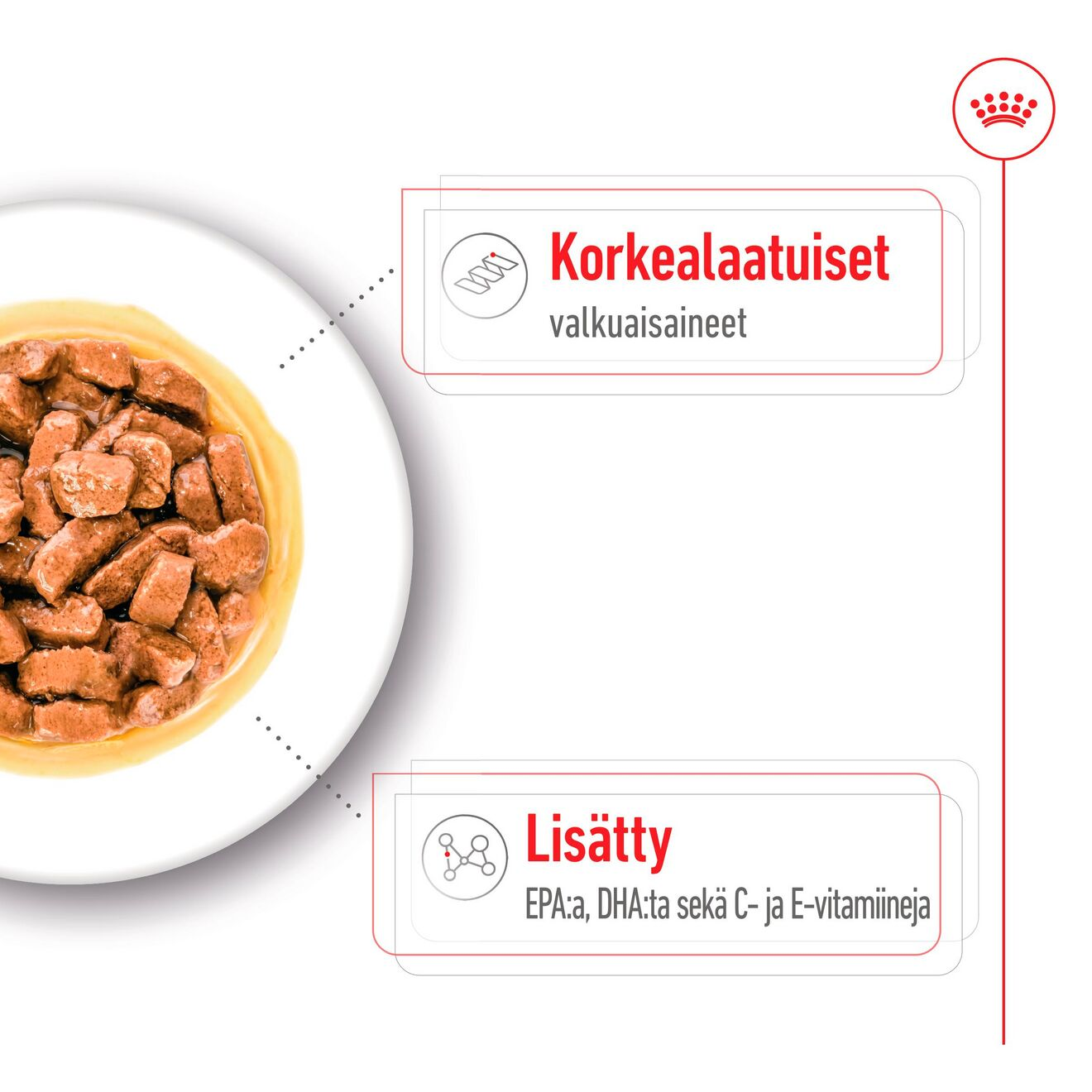 Medium Ageing paloja kastikkeessa
